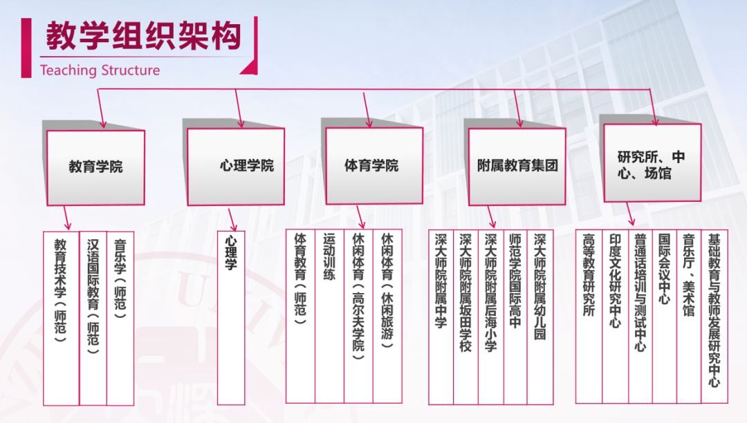 深圳大学师范学院师资力量