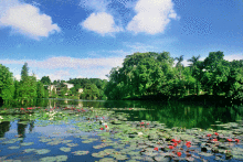 华南农业大学林学与风景园林学院学院历史