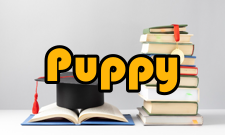 Puppy Linux软件信息