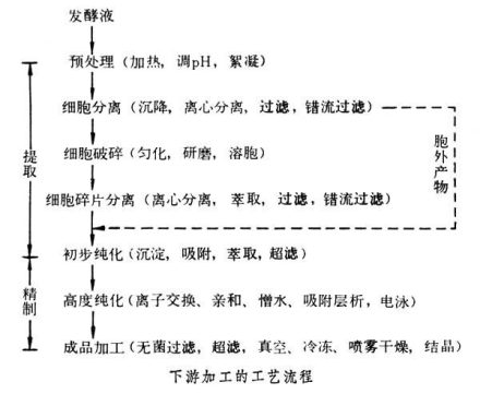 生化分离工程化学原理生物化学工程的一个组成部分