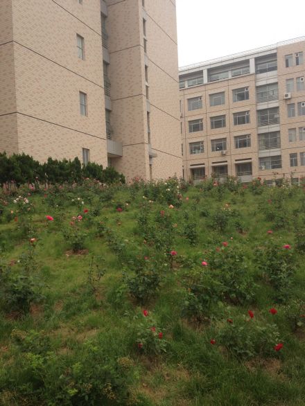 鲁东大学学科建设