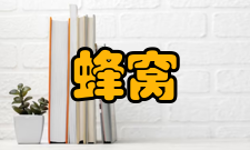 蜂窝移动通信2G