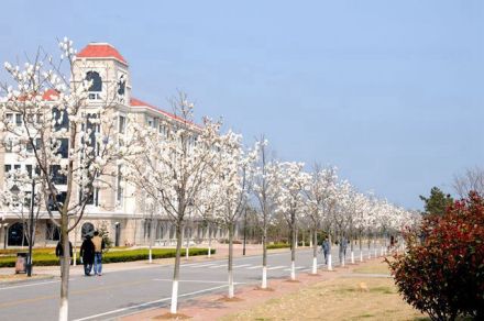 青岛港湾职业技术学院科研平台据