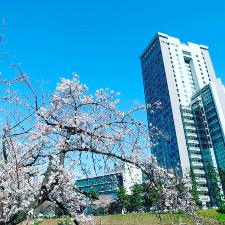 日本法政大学学校概况