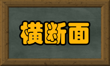 横断面研究普查