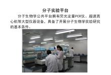 深圳农业基因组研究所设备设施仪器设备8年7月