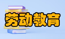 劳动教育（十六）加强组织领导