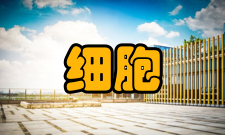 细胞工程概念细胞工程(Cell engineering)：是