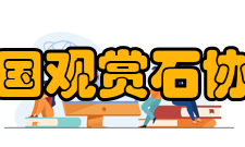 中国观赏石协会建设宗旨在中国共产党领导下