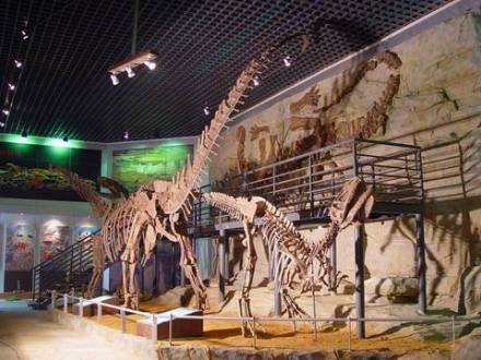 重庆自然博物馆恐龙陈列
