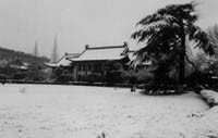 南京师范大学建国以后南京大学师范学院