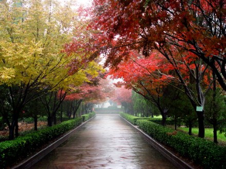 河南科技大学西苑校区办学规模