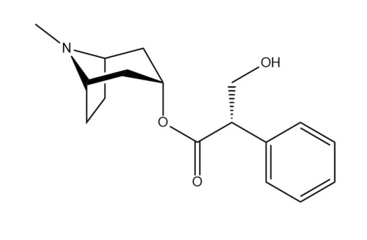 莨菪碱治疗