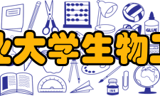 湖北工业大学生物工程学院师资力量