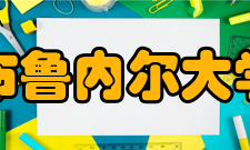 布鲁内尔大学所获荣誉在英国120多所高校中