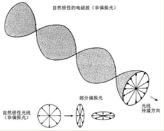 偏振方向激光偏振方向对分光光强的影响