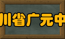 四川省广元中学师资力量