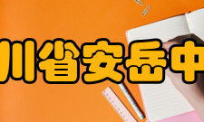 四川省安岳中学王永梭介绍