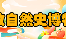 伦敦自然史博物馆世界最大鱿鱼