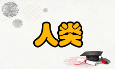 人类理解研究创作背景