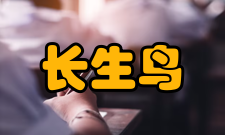 长生鸟古城建筑