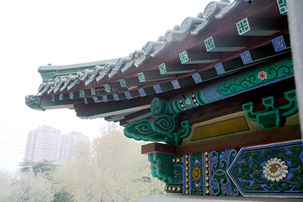 山东师范大学校园环境