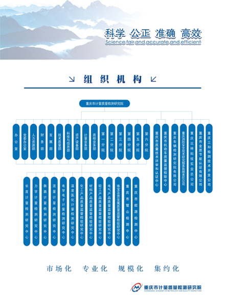 重庆市计量质量检测研究院组织结构