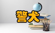 警犬技术课程体系
