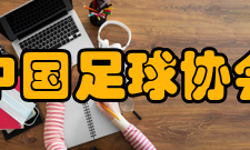 中国足球协会成年男子赛事