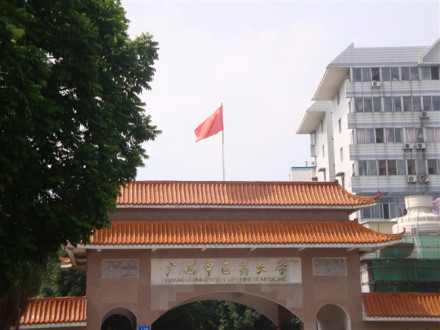 广西中医药大学师资力量