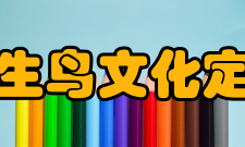 长生鸟文化定位