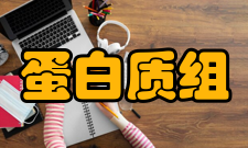 蛋白质组研究研究方法技术