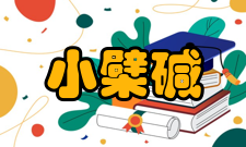 小檗碱来源（名称）、含量（效价）