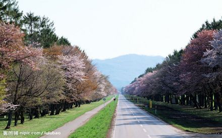 北海道文教大学姊妹都市