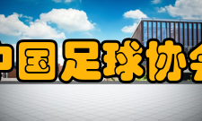 中国足球协会中央巡视