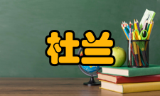 杜兰大学本科录取：高中毕业以上