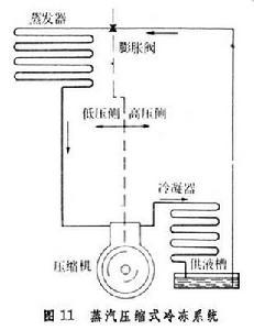 食品工程学位论文