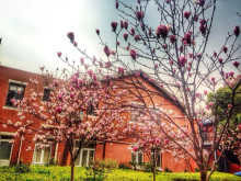 上海理工大学校区环境