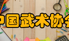 中国武术协会第五章第二十九条 本会经费来源：（一）会费；（二