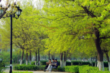 齐鲁工业大学教学建设