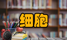 细胞工程染色体组工程诱导