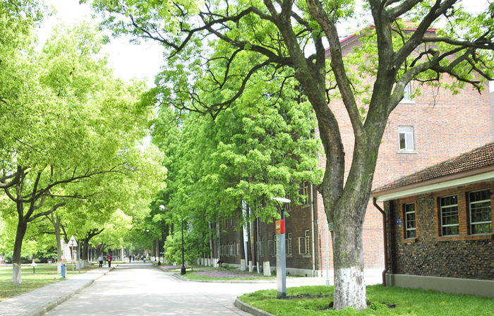 苏州大学有多少个学院