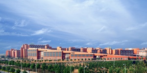 郑州大学2021年在河南本科一批录取情况表