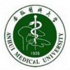 安徽医科大学临床医学院是211大学吗