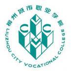 柳州城市职业学院是211大学吗