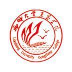 聊城大学东昌学院是211大学吗