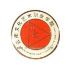 云南文化艺术职业学院有多少重点学科