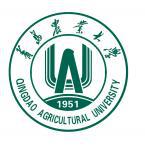 青岛农业大学是211大学吗