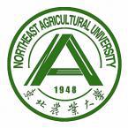 东北农业大学是211大学吗